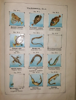 "Рельефный зоологический атлас. Часть третья. Пресмыкающиеся и рыбы.". Гагельберг. 1880 г.    Антикварная книга