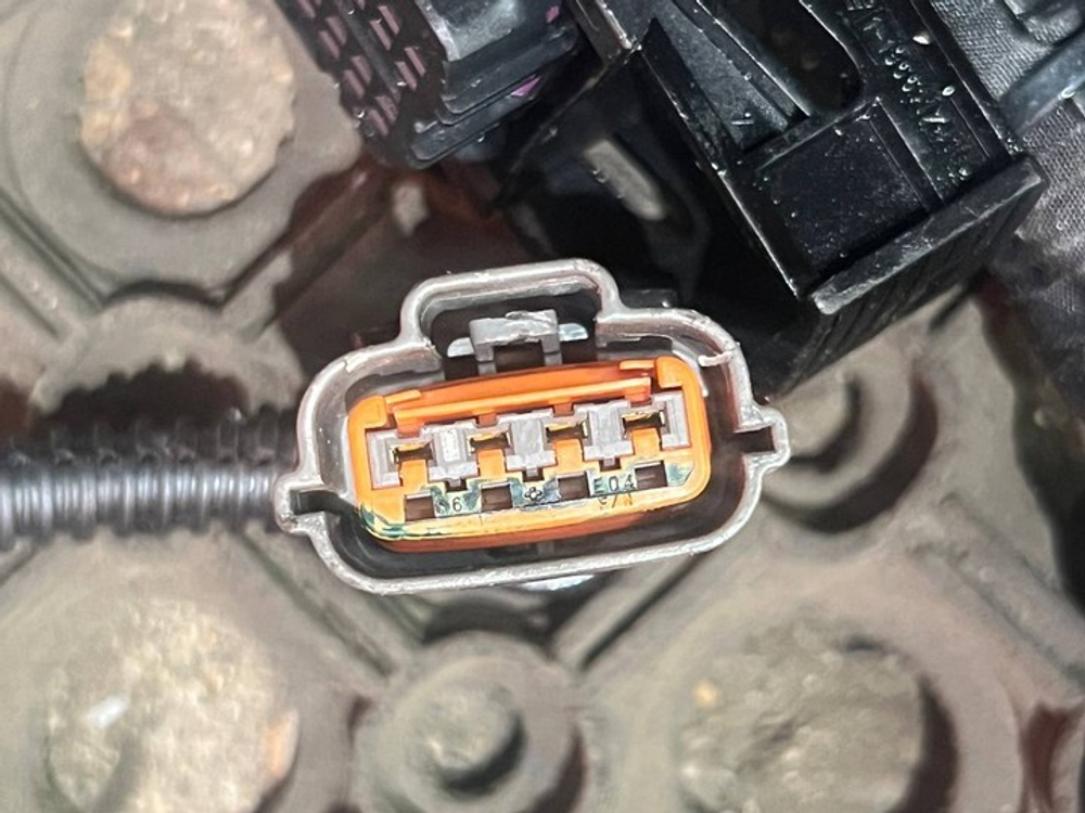 Проводка двигателя 2024г.