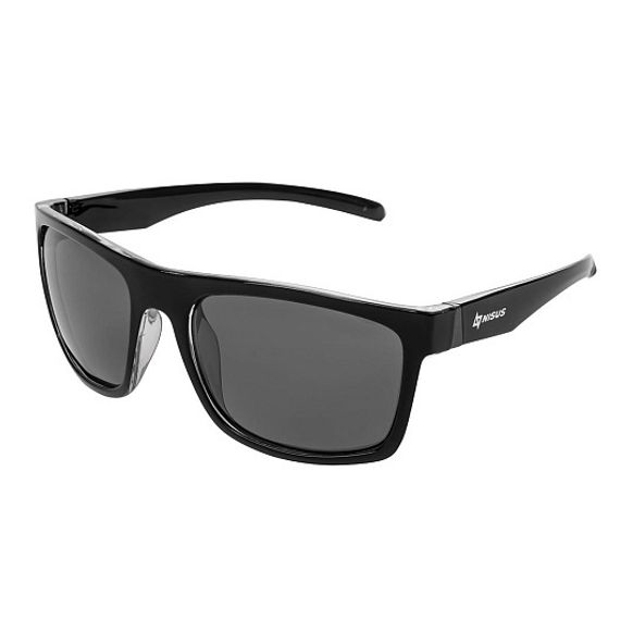 Очки поляризационные в жест.чехле (серый) (N-OP-LZ0308-G) Nisus