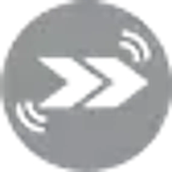 Garmin Forerunner 55 черные