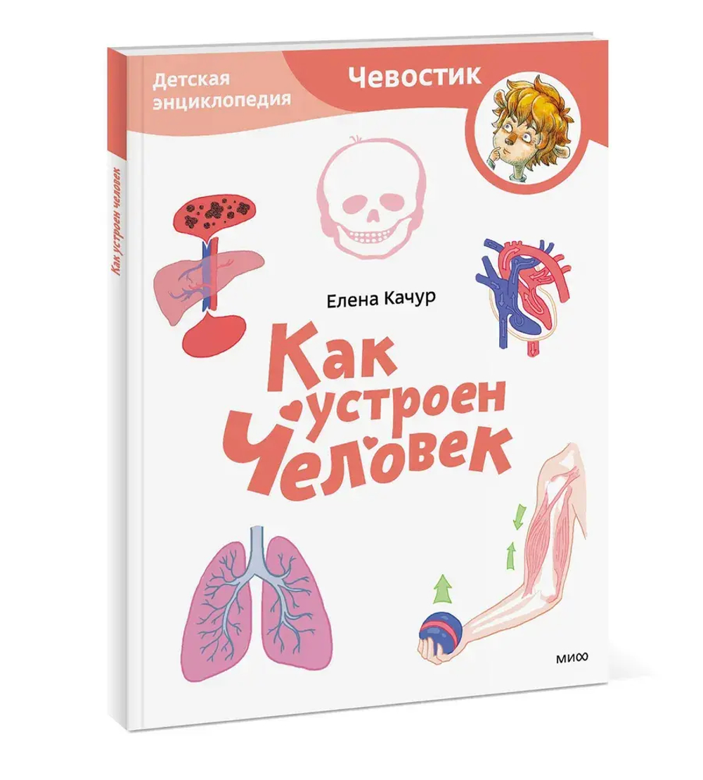 Как устроен человек. Детская энциклопедия (Чевостик) (Paperback)