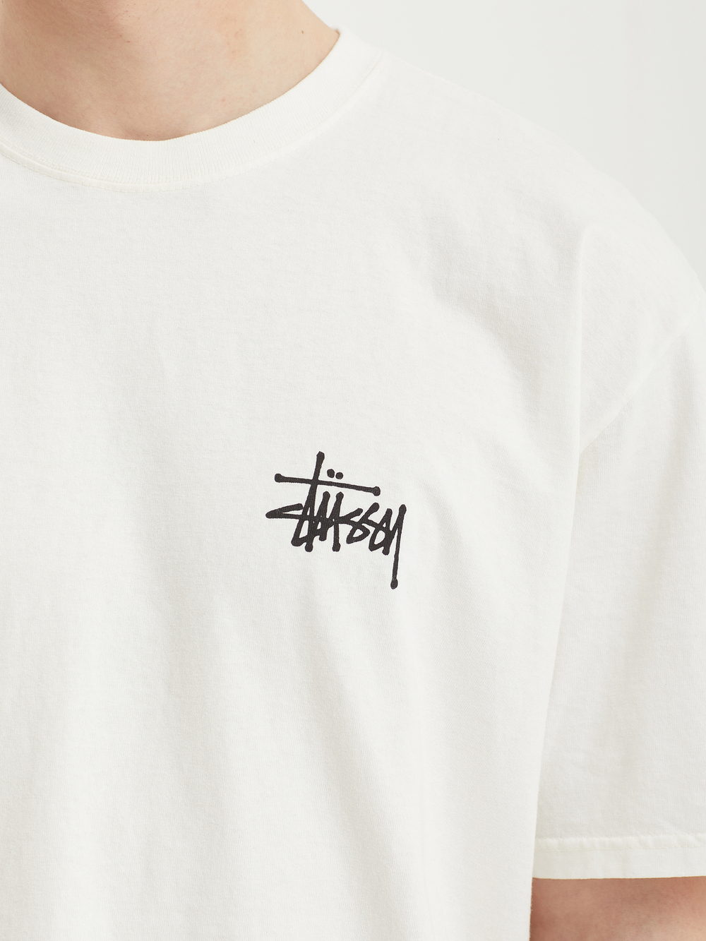 Мужская Футболка Basic Stussy Pig. Dyed