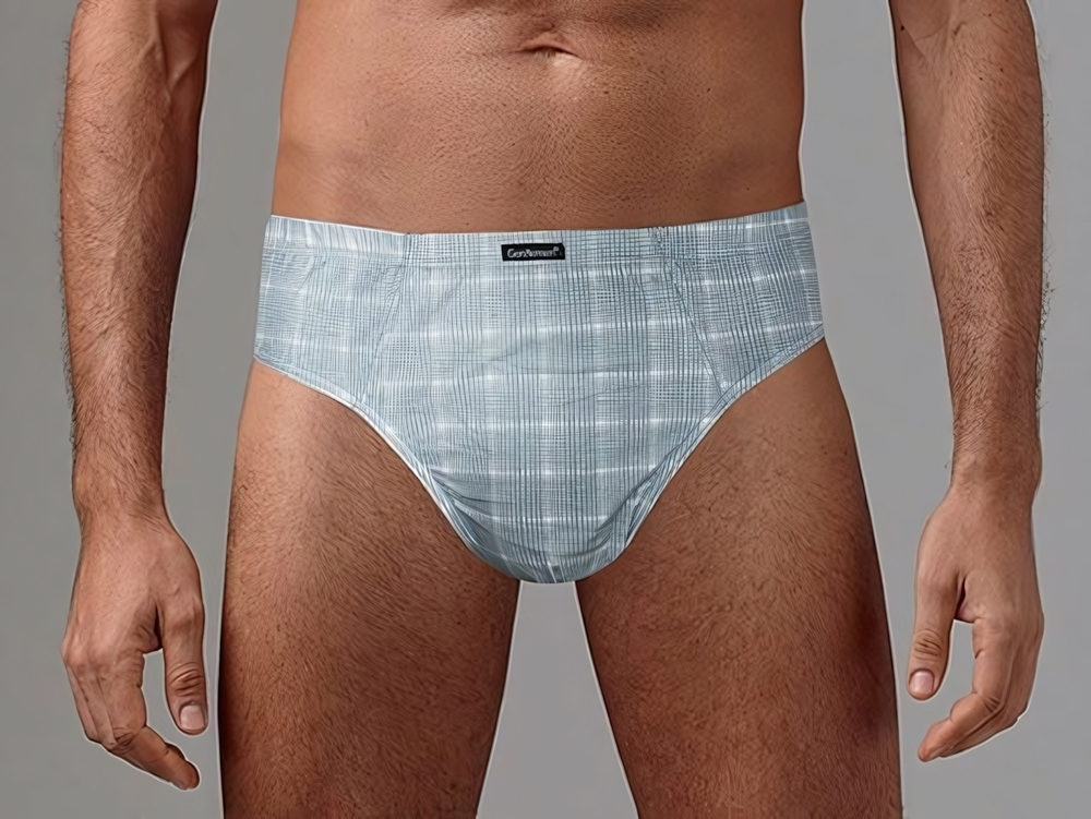 Набор из 2 клетчатых трусов - серых и голубых (Размер: L) (Цвет: серый с голубым)