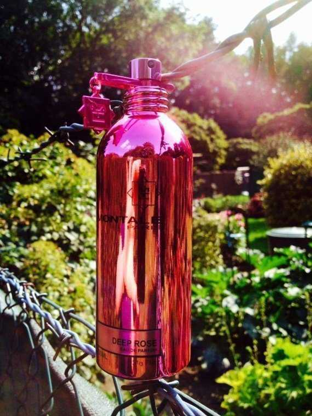 Montale rose отзывы