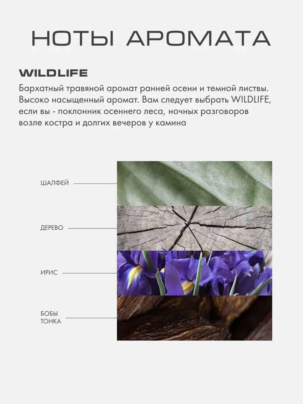 Автопарфюм WILDLIFE