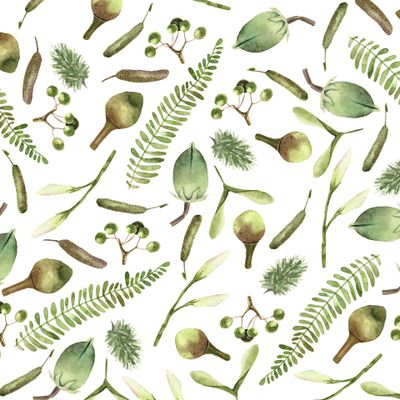 Акварельные растения