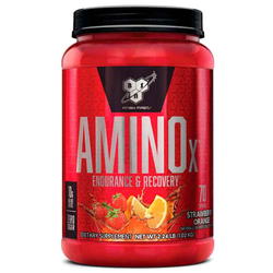 BSN Amino X (1001 гр.)