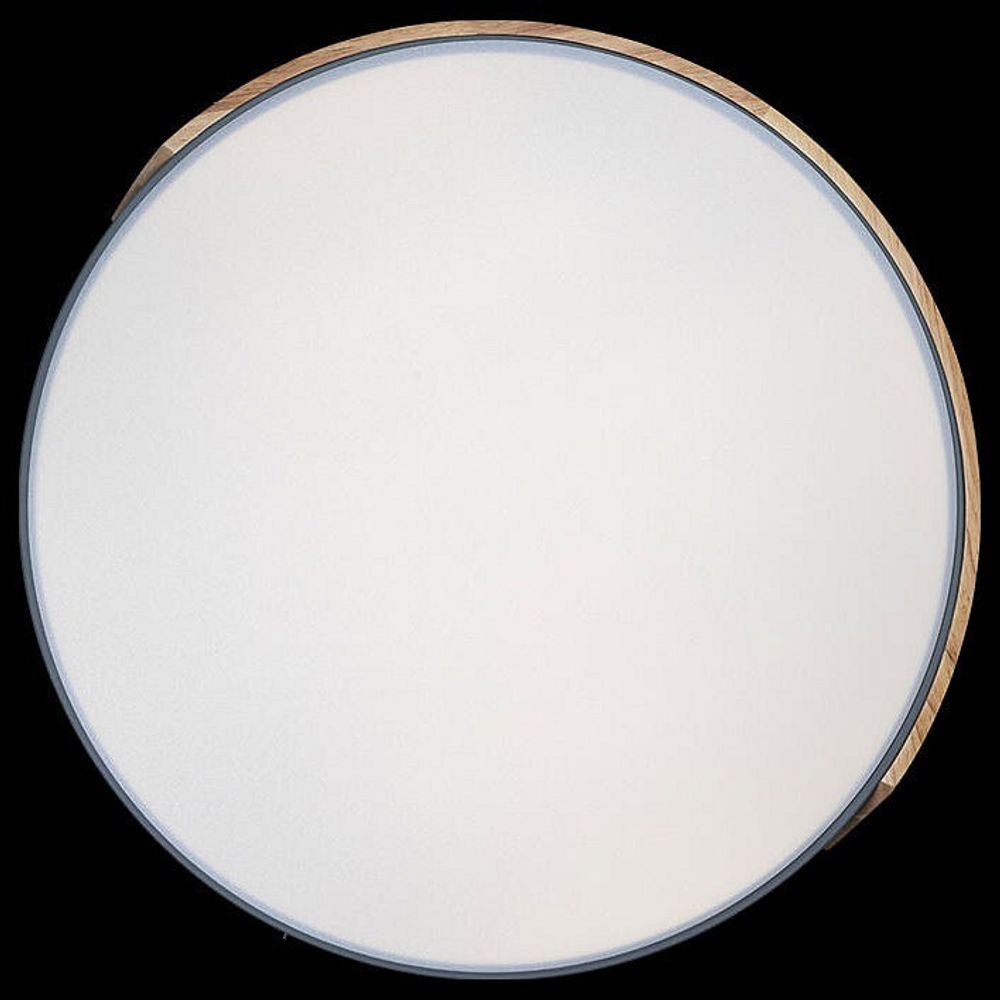 Накладной светильник Loft it Axel 3 10004/36 Grey