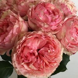 Салманасар (Salmanasar)