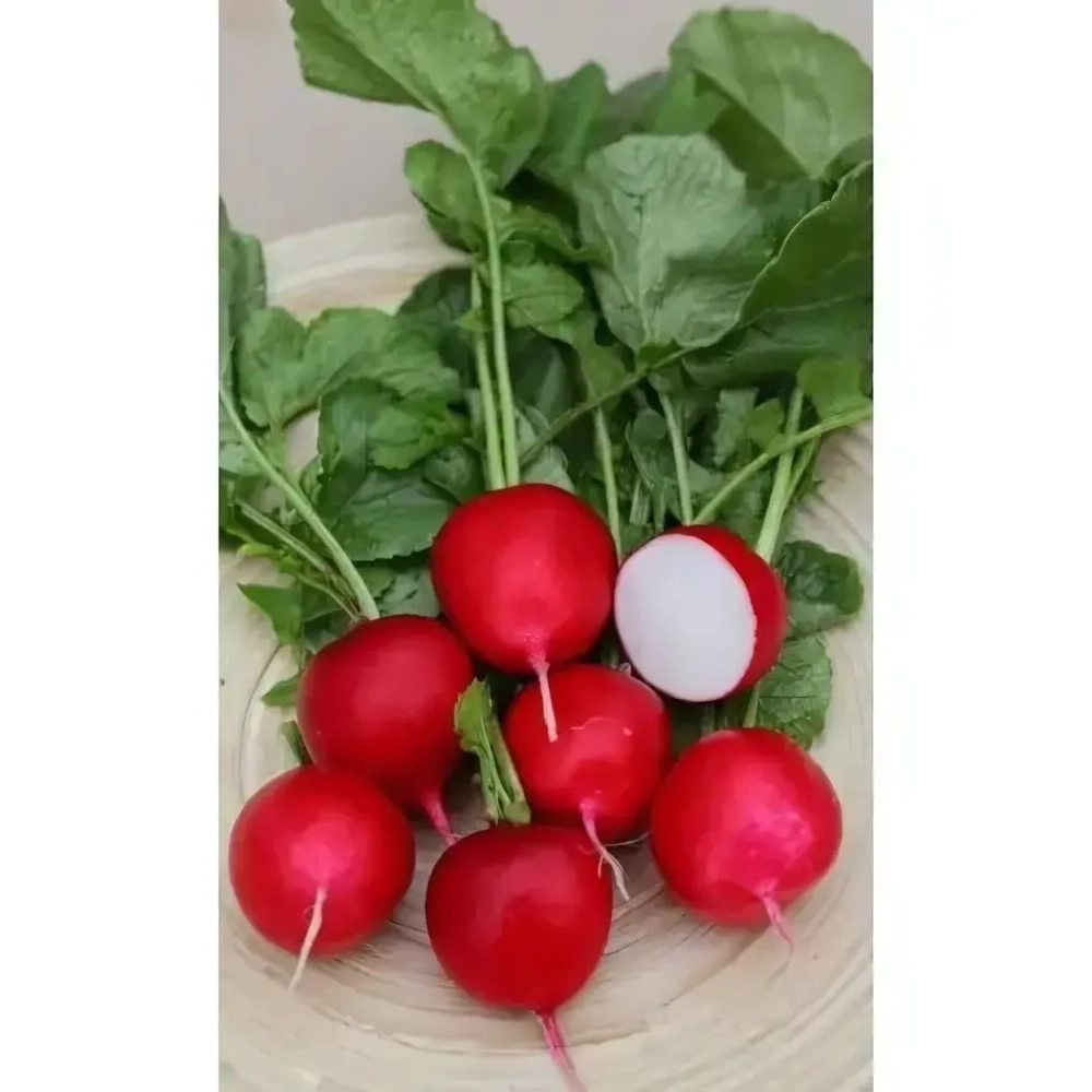 Семена Редис Черри Белле (УД) Е/П