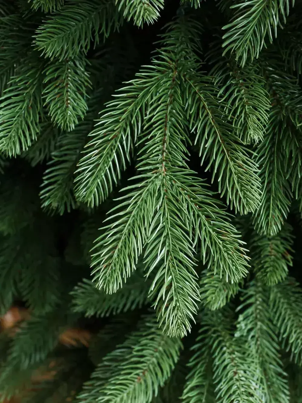 Ель искусственная «Барнелло» (Литая хвоя) от 1.8 до 2.4 м