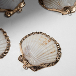 Подвеска из натуральной ракушки, украшенная позолотой, 40-45*39-43,5мм