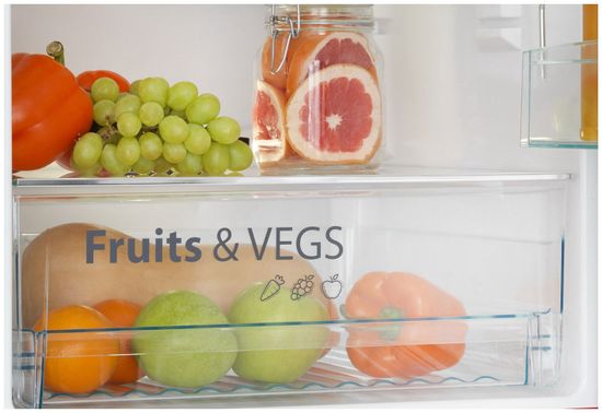 Холодильник Snaige RF53SM-S5CI210 (D91Z1C5SNBX)