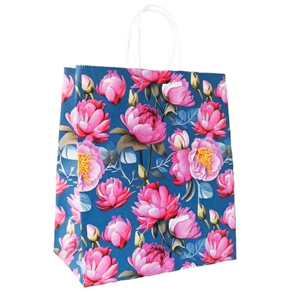 Пакет Крафт 220*120*250 с кручеными ручками ПИОН 1шт