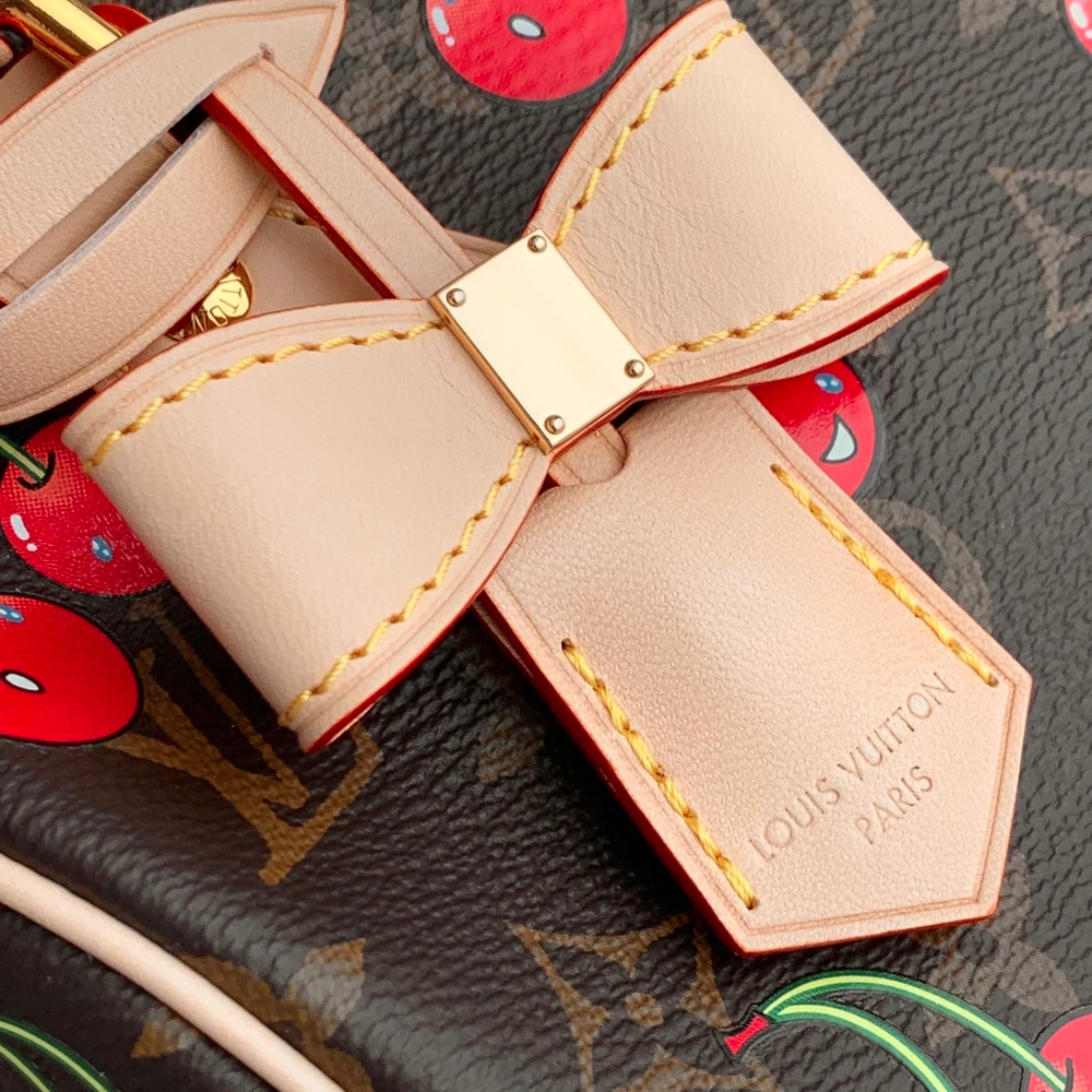 Louis Vuitton Speedy 20