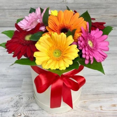 Коробка из 7 гербер