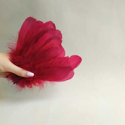 Гусиные перья вишневые 2 сорт 20 шт.