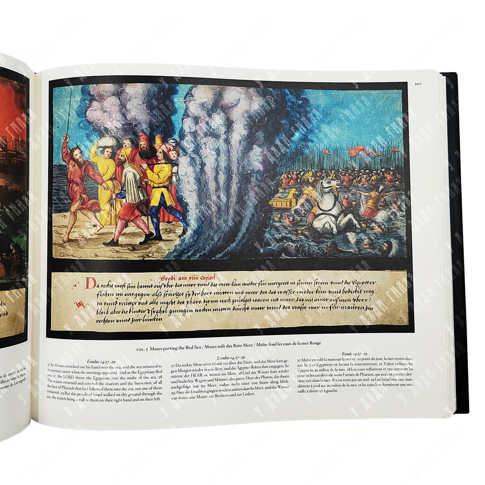 Борхет, Т.Х., Ватерман Д. Книга чудес. [The Book of Miracles. Das Wunderzeichenbuch...], 2022