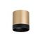 Комплект с потолочным светильником Lightstar Rullo (213490+203487) R34903487