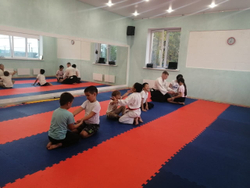 Будо-маты (татами) Экополимеры (1 плита 100х100х2,5см, 1кв.м./уп) "Красно-синий"