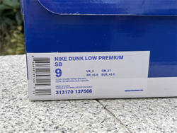 Nike SB Dunk Low 313170-137566