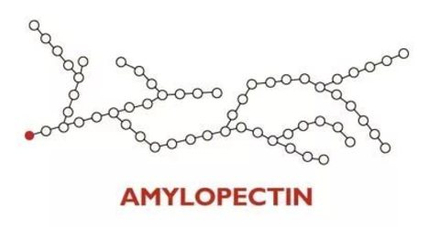 Амилопектин (MegaProtein ST)