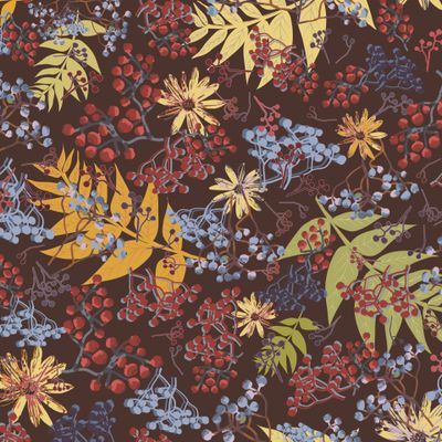 Гроздья рябины осенние листья Clusters of mountain ash autumn leaves