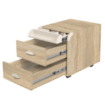 Тумба Дэми на колёсиках с 2 ящиками и органайзером для канцелярии (ТУВ.09)