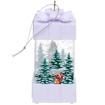 Сувенир с подсветкой «Сказочный подарок» 5,3*10,5 см, Белый