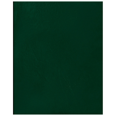 Тетрадь бумвинил, А4, 96 л., скоба, офсет, клетка, ЗЕЛЕНЫЙ