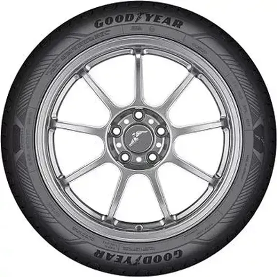 Goodyear EfficientGrip Performance 2 205/55 R16 91H
