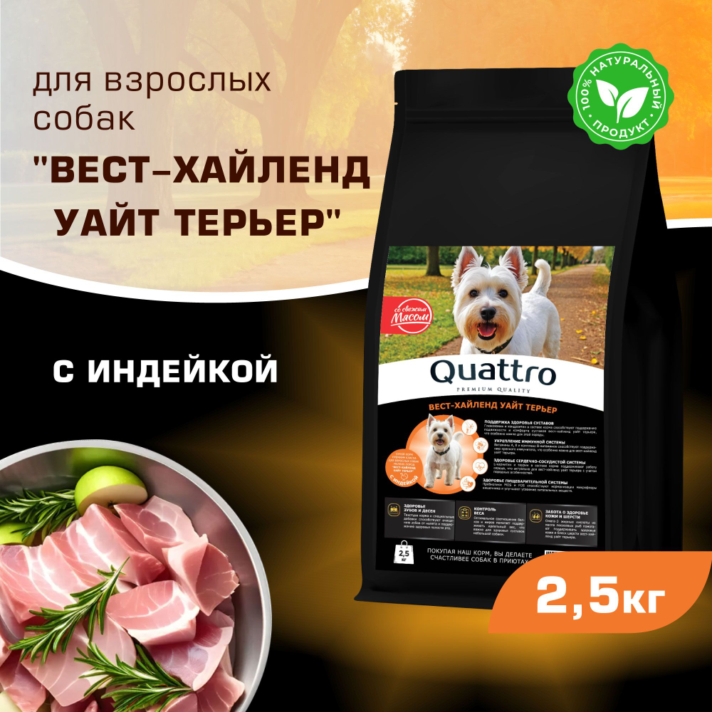 Корм сухой для взрослых собак породы Вест-хайленд уайт терьер, с индейкой, 2,5 кг, QUATTRO