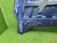 Капот Byd Tang 2 (2021-н.в.)