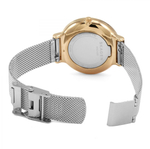 Женские наручные часы Skagen SKW2616