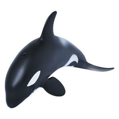 Детёныш касатки, M