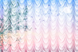 FRAME 20