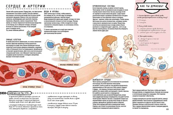 Книга с секретами. Секреты тела человека