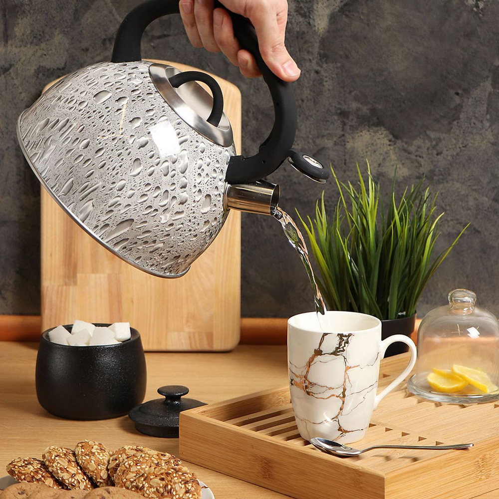 Чайник нерж, 3 л, свист, ручк с силик покр, Daniks, индукц, сер, MSY-074