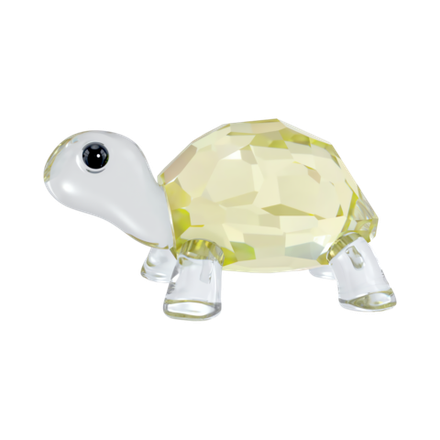 IDYLLIA:BABY TORTOISE