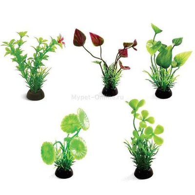 Растения (набор 5шт) разноцветные, 80мм, Laguna AQUA
