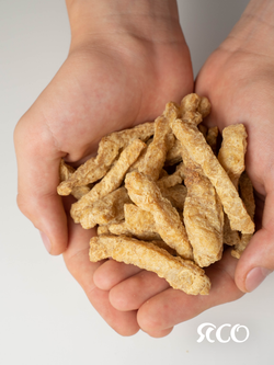 Соевое мясо Бефстроганов