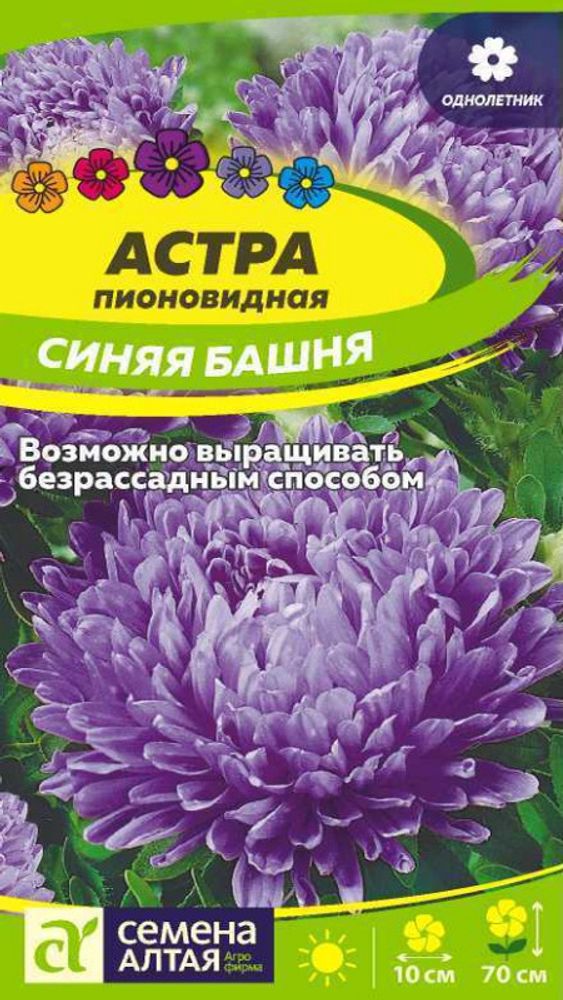 Астра пионовидная &quot;G. Синяя башня&quot; 0,2г., Россия.