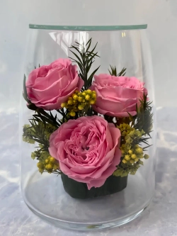 натуральные пионы в стекле, вакуум*