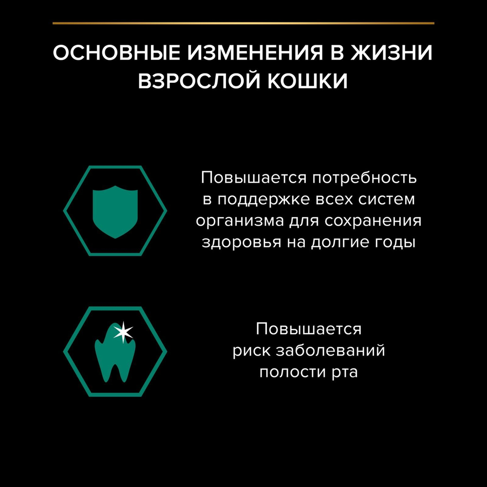 Влажный корм PRO PLAN Maintenance для взрослых кошек, с индейкой в соусе, 85 г