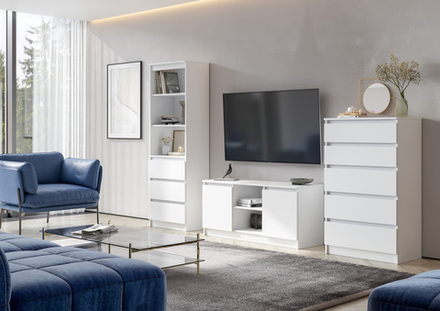 Гостиная Ницца