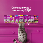 Влажный корм для взрослых кошек Курица в желе, 75г Whiskas