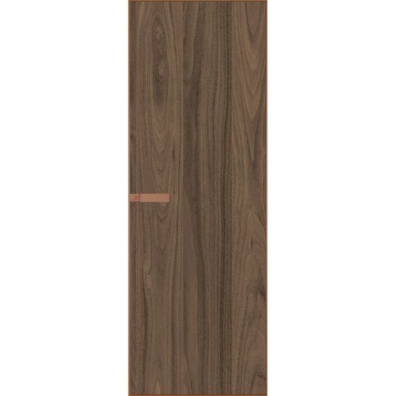 Скрытая алюминиевая дверь Invisible 1AGN ясень горный