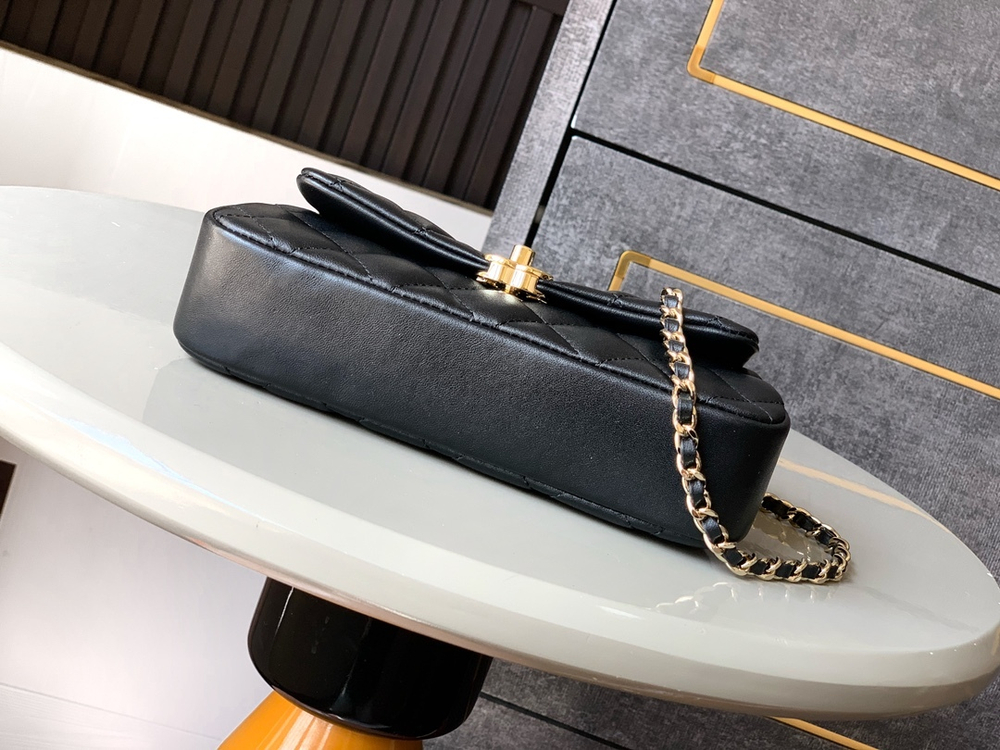 Chanel Bag 20 cm