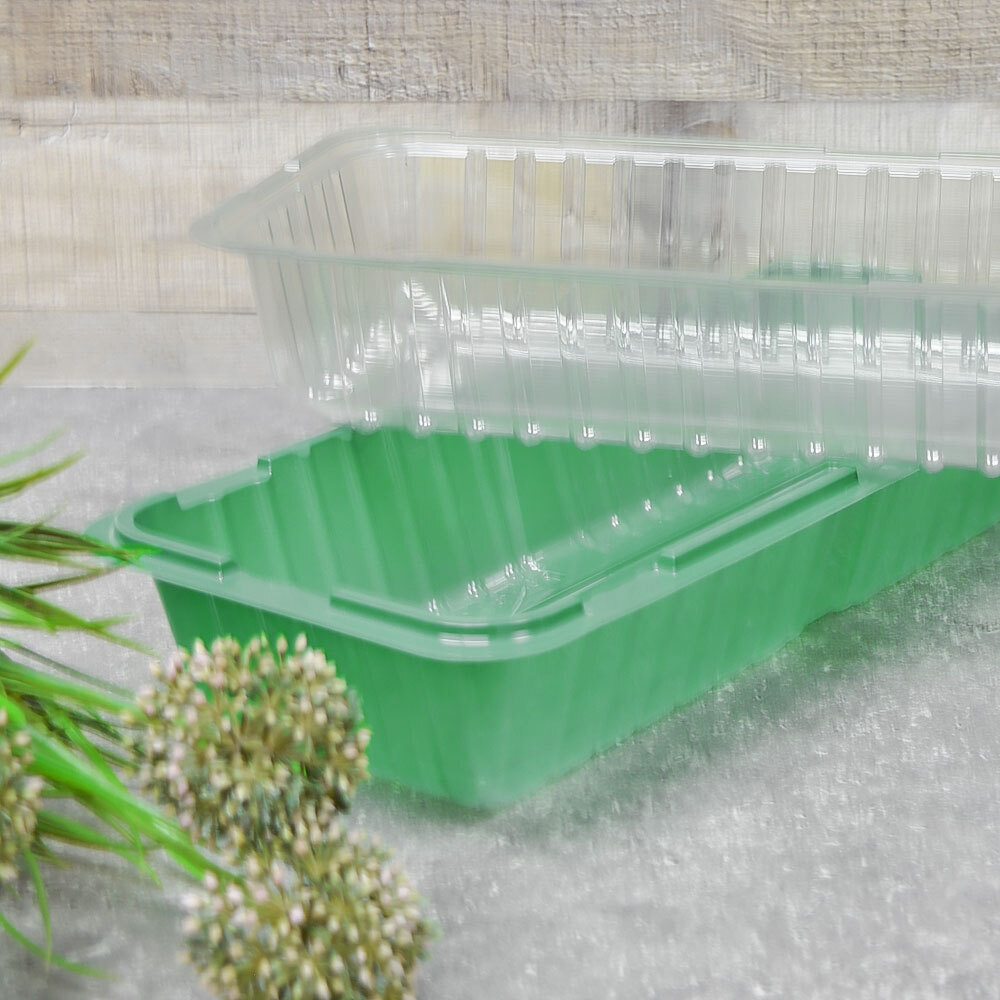 Парник для рассады 2 места, 39*16*6,5см (В2*570, Д2*570)