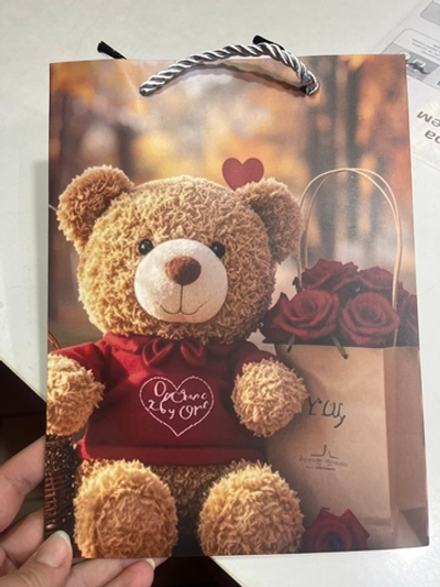 Пакет 18*8,5*24 см Мишка 141V-998